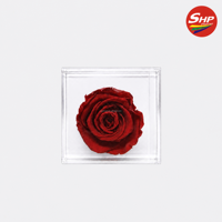 Présentoir élégant en acrylique transparent à 1 trou pour roses, vitrine individuelle pour fleurs, comptoir de magasin de détail, vente en gros