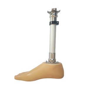 Nhà sản xuất Chân Giả màu nâu hoặc màu be chất lượng cao chân tay nhân tạo <span class=keywords><strong>sach</strong></span> chân - Product Image 6