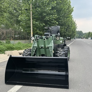 Chargeurs agricoles sur roues pour usage domestique et mini-chargeurs populaires en Europe avec divers accessoires - Product Image 5