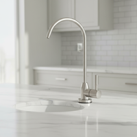 Robinet purificateur d'eau RO moderne sans plomb, en acier inoxydable 304, pour cuisine, eau froide, mural, monocommande, directement de l'usine