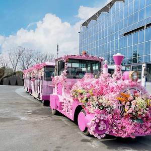 Phao và Xe đưa đón du lịch công viên thành phố cho trung tâm mua sắm tàu tham quan không theo dõi màu hồng cho lễ hội diễu hành - Product Image 1
