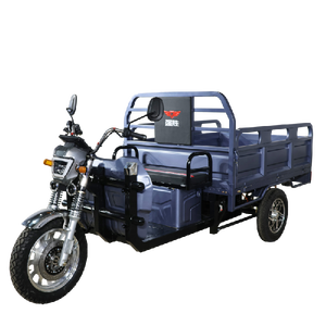 Tricycle à 3 roues de 1000 kg avec 2 essieux, fourni par l'usine, au meilleur prix - Product Image 1