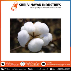 Algodón orgánico crudo para varias industrias, venta al por mayor, a precio asequible - Product Image 5