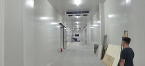 HAOCOOL Commerciële Vriesruimte Koelcontainer PU Sandwich R-410A Koelmiddel Copeland/Emerson/ Aanpasbare Maat Motor Aandrijving - Product Image 2