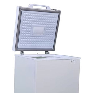 <span class=keywords><strong>Congélateur</strong></span> <span class=keywords><strong>coffre</strong></span> électrique de petite taille, volume 101L, haute efficacité énergétique, faible consommation, pour usage commercial, domestique, extérieur, <span class=keywords><strong>congélateur</strong></span> mobile - Product Image 2