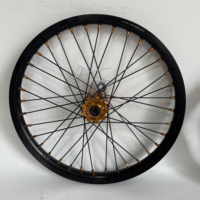 Kit de jantes à rayons droits robustes noirs 19x1.4 avec moyeu avant doré et nipples dorés pour pièces de vélo Surron Light Bee