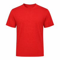 T-shirt pour homme en coton 100% 220GSM, col rond, grande taille, marque privée OEM