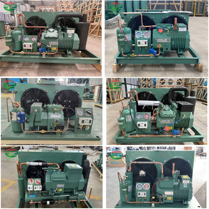 Trung Quốc Tùy Chỉnh Lạnh Lưu Trữ Cửa Hàng Đi Bộ Trong Phòng Lạnh Giá Máy Làm Lạnh Trái Cây Tươi Và Rau Quả - Product Image 5