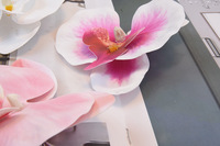 Dekorasi Kue DIY Bunga 3D Cetak Perekat Plastik Taktil Anggrek Phalaenopsis Perlengkapan Pernikahan 50 Pcs 9.5cm Sederhana