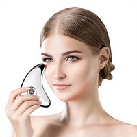 Elektrisches Schönheitsgerät Gua Sha Board mit Warmlicht, Delfin-Design, Handgerät mit Mikrostrom-Vibration und Infusionsfunktion für Nackenstraffung