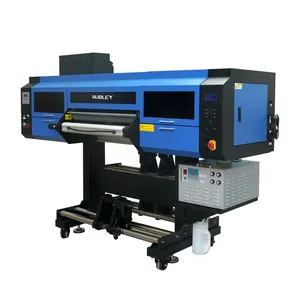 AUDLEY 30Cm 60Cm DTF Uv Film Printer 3D A3 A2 Roll To Roll Direct To Film Digital Inkjet Flatbed Uv Printer For A/B Film