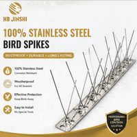 Piques anti-oiseaux 100 % acier inoxydable, dissuasives contre les pigeons, résistantes aux intempéries et aux UV, sans base en plastique, 50 cm, respectueuses des animaux, durables et écologiques