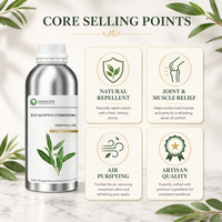 Huile d'eucalyptus citronné (Eucalyptus citriodora) pour la fraîcheur et la pureté de la maison, idéale pour la formule de bougies parfumées et de diffuseurs à bâtonnets désodorisants