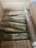 Poteau plat en fibre de coco naturelle biodégradable de 20 pouces de hauteur, vente en gros d'usine, pour jardin domestique personnalisé