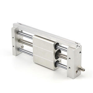 Cilindro de Pistón de Acero Inoxidable sin Varilla con Acoplador Magnético RMT16x100/200/300/500/600/800, Núcleo de Bomba de Motor Neumático para Agricultura - Product Image 2