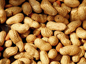 Máquina Automática para Tostar Nueces a <span class=keywords><strong>Precio</strong></span> de Descuento, Máquina Comercial para Tostar Nueces, Máquina para Caramelizar Nueces - Product Image 6