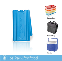 Blocs de glace et briques de glace pour congélateur avec chaîne du froid personnalisés vente en gros boîtes à déjeuner isothermes et glacières bon marché packs de glace de qualité supérieure