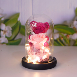 TC Hot <strong>Sale</strong> Eternal <strong>Rose</strong> Flower in LED Glass Dome Valentine Mother's Day New Design Gift Preserved <strong>Moss</strong> Bear <strong>Rose</strong> Bouquet Gift - Product Image 4