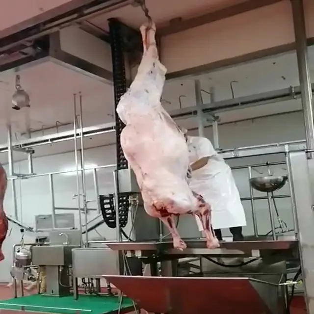इस्लामी ऊंट वध घर मांस प्रक्रिया के साथ वधशाला मशीन