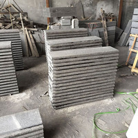 Granite G684 économique, échantillon à faible MOQ (1 pièce), pierre de basalte noire antidérapante, granit noir pour projets de marches d'escalier scolaires