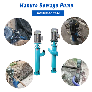 Pompe à boues verticale haute efficacité, pompe centrifuge submersible robuste à économie d'énergie pour eaux usées - Product Image 3