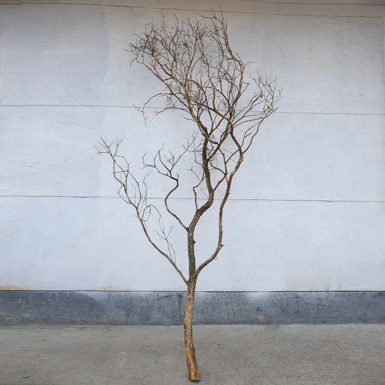 Large> 350cm (diameter 10cm)