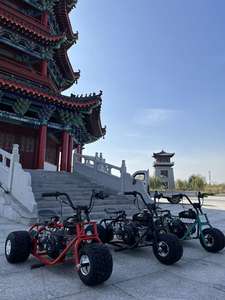 Mini-tricycle <span class=keywords><strong>motorisé</strong></span> rapide pour adultes, 212cc, quatre temps, à essence, tout-terrain, style rétro, vente en gros Chine - Product Image 6