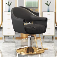 Fauteuil de Coiffure Professionnel Hydraulique Pivotant à 360 Degrés/Inclinable pour Salon, Extérieur et Hôpital