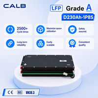 Module de batterie LiFePO4 CALB D230AH-1P8S 25,6V 230Ah Grade A avec prévention sûre de la décharge thermique 2500cls