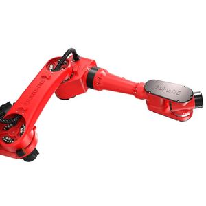 Robot de manutention Braun, palettisation, estampage, bras robotique, robot industriel à six axes en stock - Product Image 4