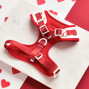 Set Harness Anjing Sherpa Pet Luxury Lamb Ukuran Kecil, Rompi Hangat Warna Solid, Logo Kustom, Aksesoris Hewan Peliharaan untuk Anjing dan Kucing - Product Image 2