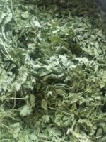 Nouvelle récolte thé aux herbes chinoises 100% feuilles de menthe naturelle feuilles de menthe poivrée séchées en vrac 15KG/Carton