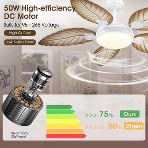 <span class=keywords><strong>Ventilateur</strong></span> de <span class=keywords><strong>plafond</strong></span> en rotin naturel à pales claires, taille personnalisée, avec télécommande antique pour salon, <span class=keywords><strong>ventilateur</strong></span> de <span class=keywords><strong>plafond</strong></span> LED - Product Image 6