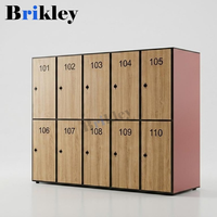 Casier compact HPL Brikley couleur grain de bois 12 mm d'épaisseur avec serrure électronique, installation au sol/au mur