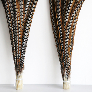 Bán Buôn Giá Rẻ 44Inch Lớn Lông Tự Nhiên 110Cm Reeves Gà lôi Đuôi Lông Cho Lễ Hội Đầu Trang Trí - Product Image 5