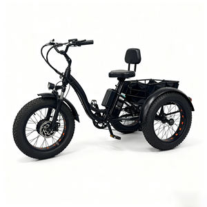 Kit de conversion pour vélo électrique de montagne, vélo électrique à carrosserie ouverte, vélo de ville et cargo, tricycle à gros pneus, 3 roues, 2025 - Product Image 3