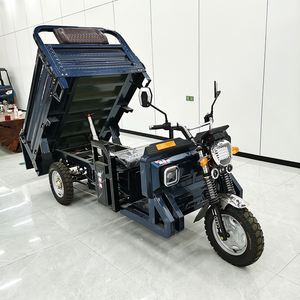 Triciclo de Carga de Tres Ruedas con Caja Abierta y Profunda, Motocicleta de Reparto para Adultos - Product Image 5