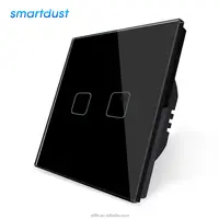 Smartdust ab İngiltere standart Google ev Alexa ses kontrolü ev ışık kontrolörü akıllı ev teknolojisi ürün 2 Gang WiFi anahtarı