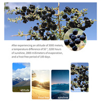 Gedroogde Zwarte Gojibessen Chinese Gedroogde Paarse Fruitthee Donkere Wolfberry Gecertificeerde Goji Lycium Ruthenicum