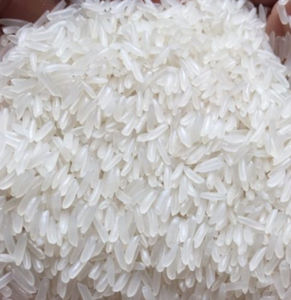 ข้าวหอมมะลิ ST24 สดใหม่ สีขาว นุ่ม หอม ต้นกำเนิดจากเวียดนาม |   ขายส่งจำนวนมาก คุณภาพส่งออก ราคาโรงงาน - Product Image 4