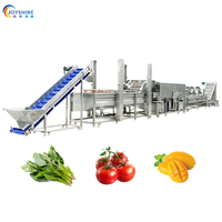 Commerciële salade sorteer-, was-, snij- en groente- en fruitwasmachine/groente- en fruitverwerkingslijn