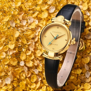 Per gli appassionati di moda, un orologio da polso al quarzo è un must, CAINUOS stile semplice, orologio al quarzo di precisione, 5601, espositore. - Product Image 2