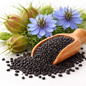 Nigella Seeds Natural Kalonji Whole Aromatic Spice Rich Flavor for Cooking Seasoning and Bulk Supply - Product Image 3