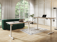 Bureau debout électrique intelligent moderne en métal à moteur unique avec table réglable en hauteur pour le bureau