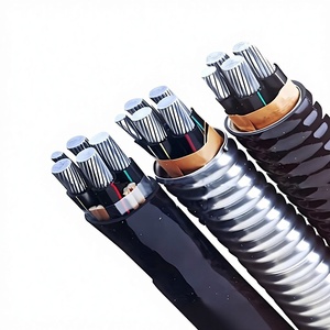 <span class=keywords><strong>สาย</strong></span><span class=keywords><strong>ไฟ</strong></span>ฟ้าอลูมิเนียมอัลลอยด์ PrimePro 0.6/1kV YJLHV22 แบบ 3 เฟส หุ้มเกราะ สำหรับจ่าย<span class=keywords><strong>ไฟ</strong></span>ฟ้า ขนาด 10-500 มม. AA8000 ตัวนำ STA XLPE IP67 - Product Image 2