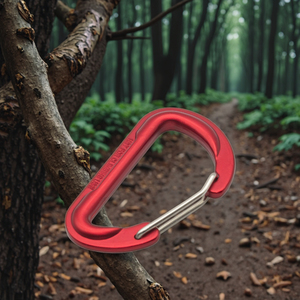 Alüminyum alaşım d-şekil çelik özel karabina ışık kamp balıkçılık yürüyüş ve madencilik anodize bitirmek için eleştirel beğeni topladı - Product Image 4