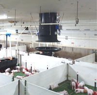Ventilateur d'extraction optimisé pour montage au plafond, 18 pouces, 380V, 7000m³/h, pour la ventilation des toits des fermes avicoles et d'élevage