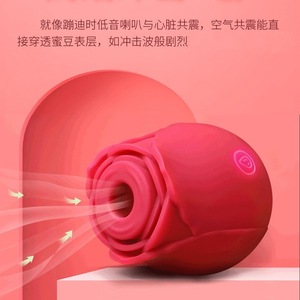 Vibratore a Rosa Economico all'Ingrosso, Stimolatore per Capezzoli, Giocattolo Sessuale in Silicone, Masturbatore Femminile, Giocattoli per Adulti, Rosa USB dell'Amore - Product Image 5