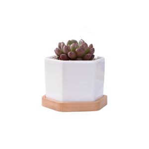 <span class=keywords><strong>Pot</strong></span> de fleurs créatif en céramique blanche hexagonale avec support en bambou et doublure, idéal pour plantes succulentes, décoration de jardin et de maison - Nouveauté ! - Product Image 1