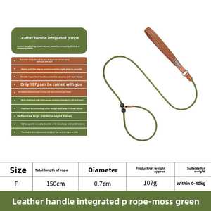 Tali kekang hewan peliharaan, tali anjing besar terintegrasi P nilon dan rantai dengan tombol penutup empuk - Product Image 4